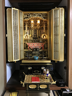 写真 2016-11-11 11 20 34