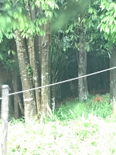 9346D27E-22EB-408C-869A-33CBFFBA60EA