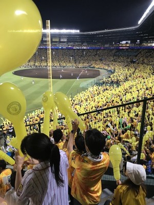 写真 2019-07-24 19 57 42