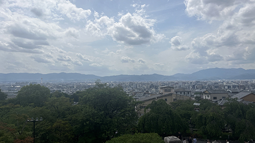 IMG_3504