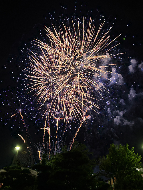 IMG_4271
